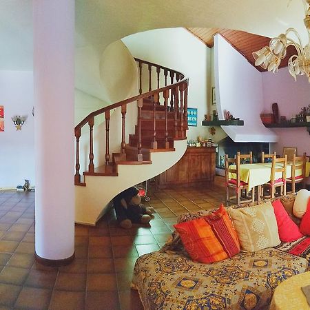 Guesthouse La Villa 자니카 외부 사진